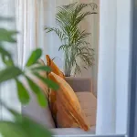 Сasa de vacaciones Lakeside Hideaway - Lakefront & Lecco